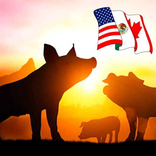TLCAN abriría puertas a exportar carne porcina: Caram Inclán