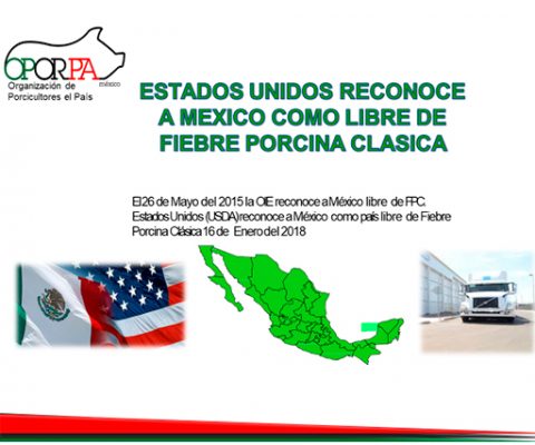 EUA autoriza importación de cerdo de todo México