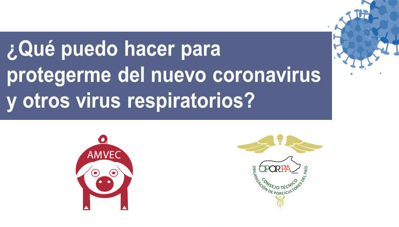 Medidas de Contención ante el  Coronavirus (Covid-19) en granjas de producción de cerdo