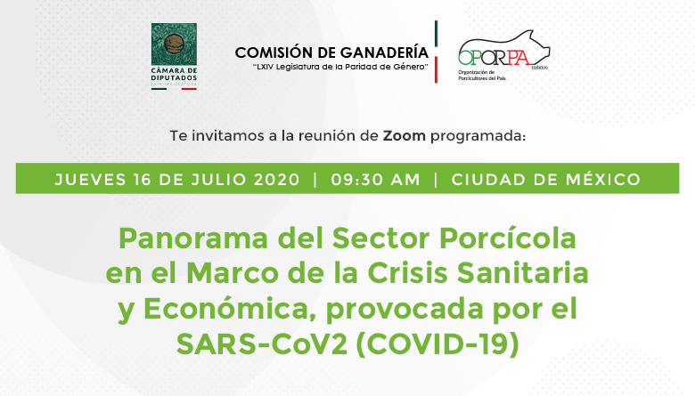 Panorama del Sector Porcícola en el Marco de la Crisis Sanitaria y Económica, provocada por el SARS-CoV2 (COVID-19)