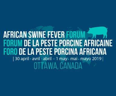 Foro de la Peste Porcina Africana 2019