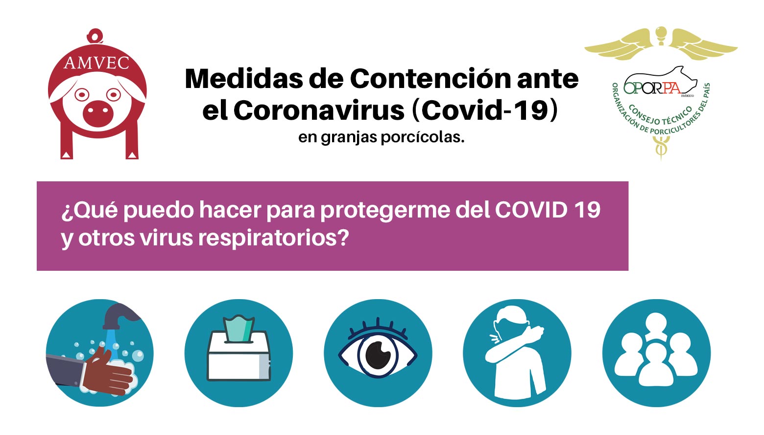 Cartel: Medidas de Contención ante el Coronavirus (Covid-19) en granjas porcícolas
