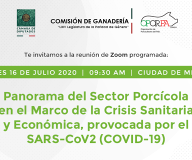 Panorama del Sector Porcícola en el Marco de la Crisis Sanitaria y Económica, provocada por el SARS-CoV2 (COVID-19)